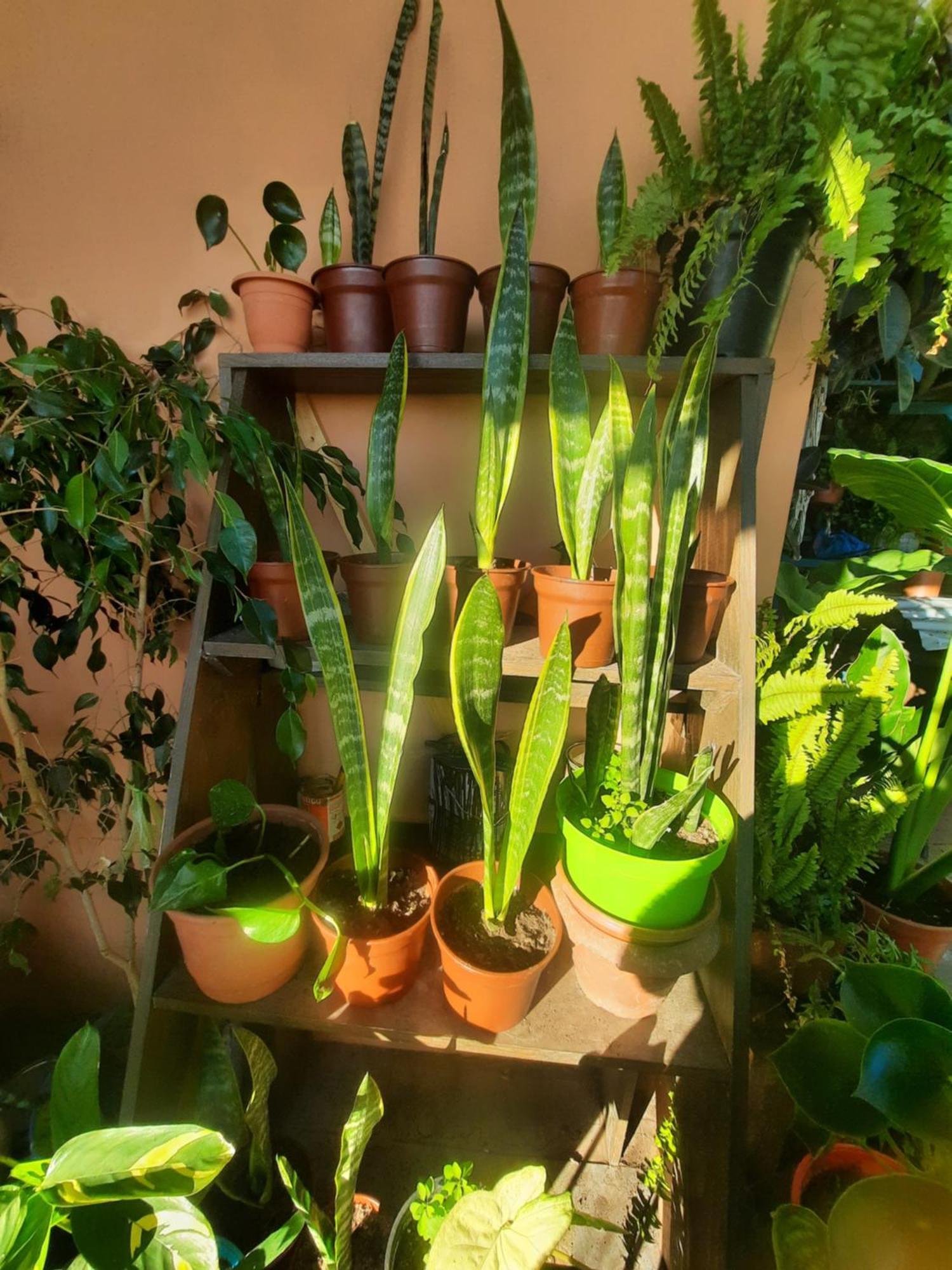 Appartement Loft Tipo Estudio